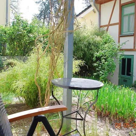 Harmonie * Heringsdorf (Usedom)